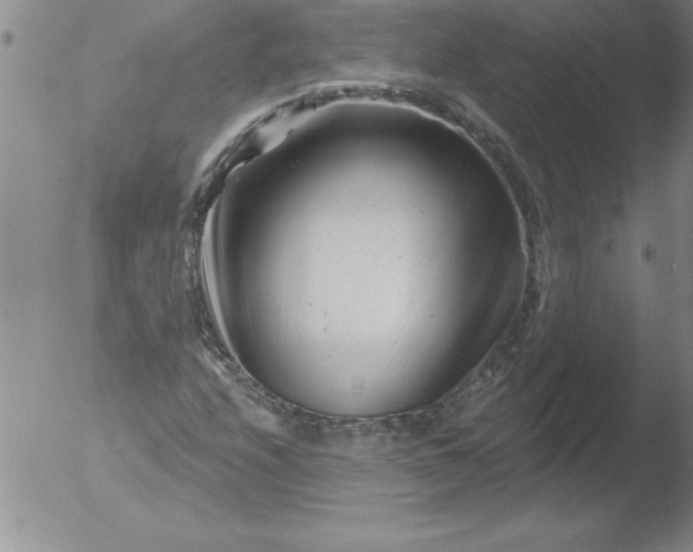 X0000051861208200507081814