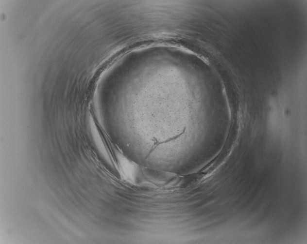 X0000051861209200507081814