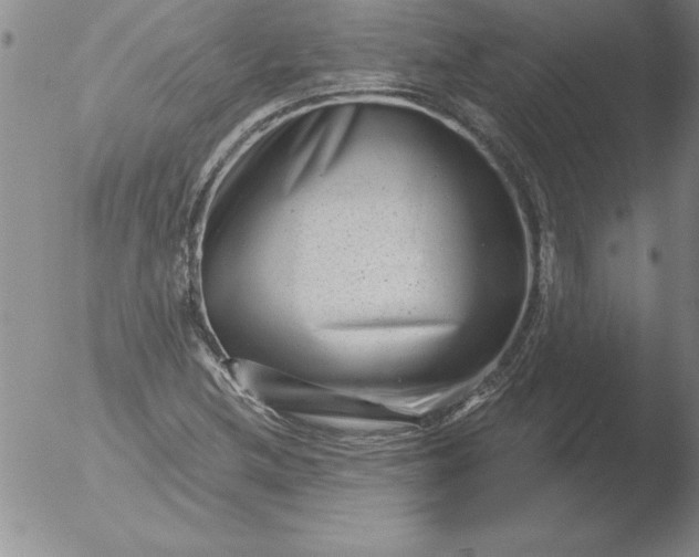 X0000051861212200507081814