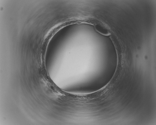 X0000051861214200507081814