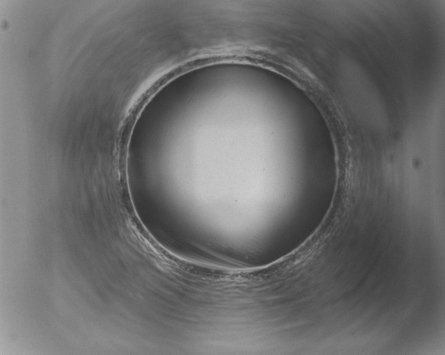 X0000051861216200507081814