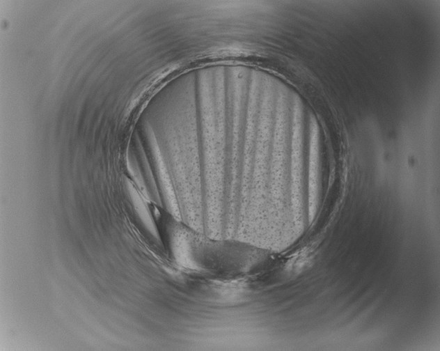 X0000051861217200507081814