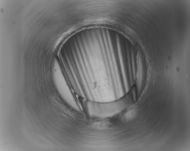 X0000051861218200507081814