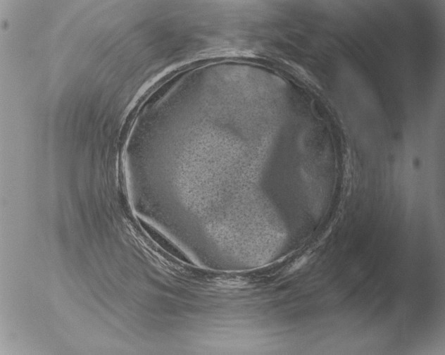 X0000051861220200507081814