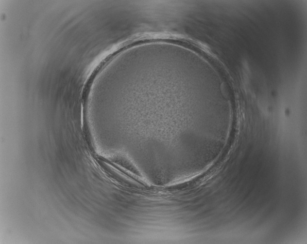 X0000051861221200507081814