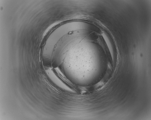 X0000051861222200507081814