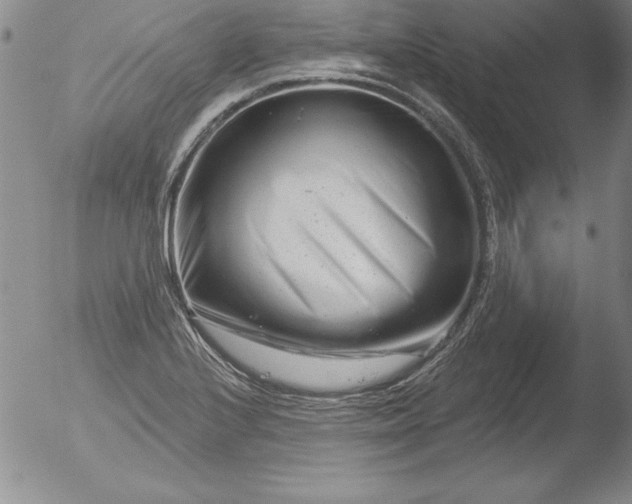 X0000051861224200507081814