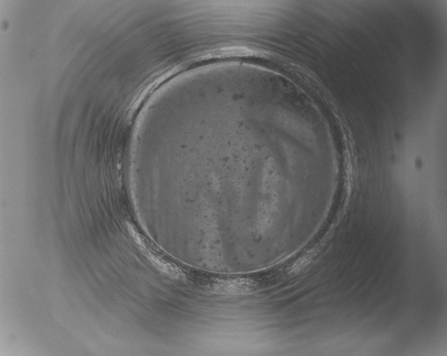 X0000051861225200507081814