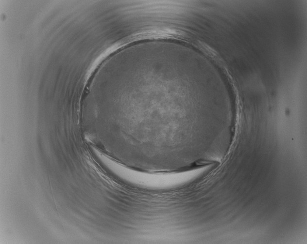 X0000051861226200507081814