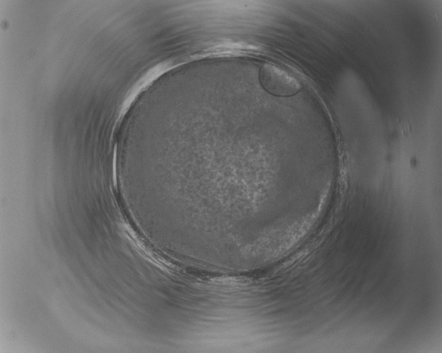 X0000051861227200507081814