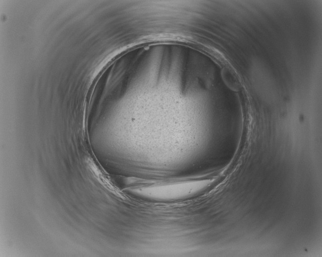 X0000051861228200507081814