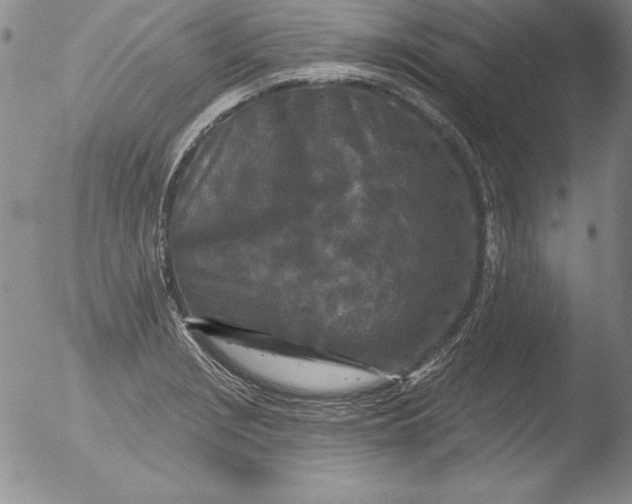 X0000051861229200507081814