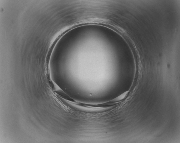 X0000051861230200507081814