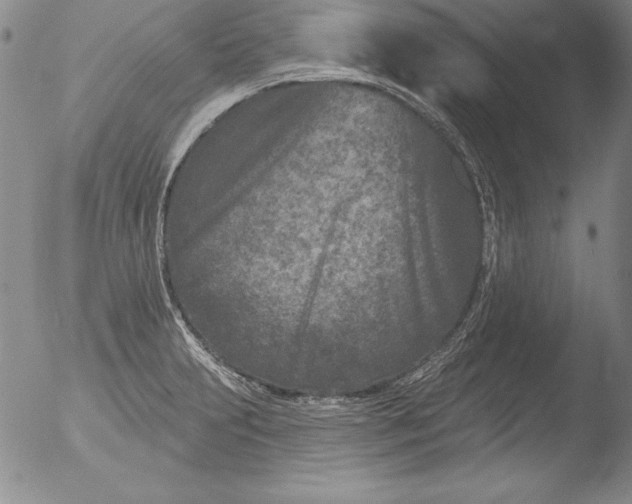 X0000051861231200507081814