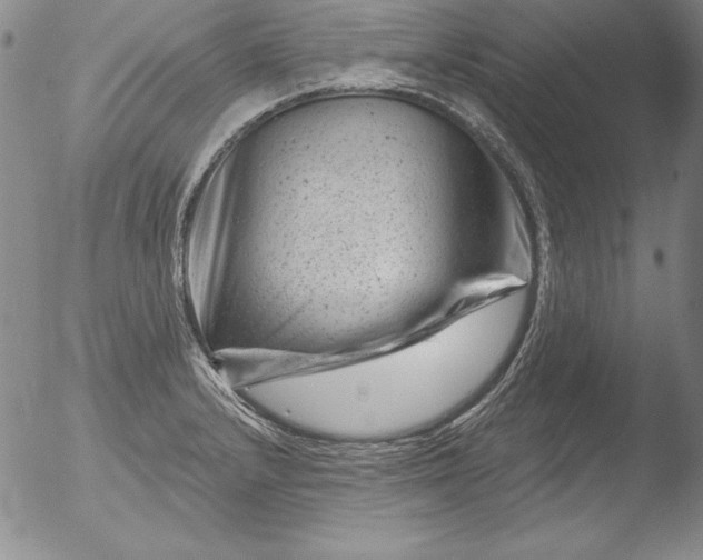 X0000051861232200507081814