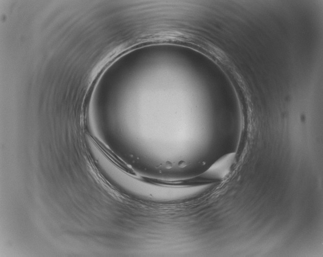 X0000051861234200507081814