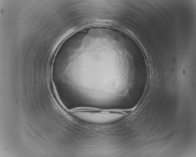 X0000051861235200507081814