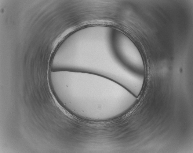 X0000051861237200507081814