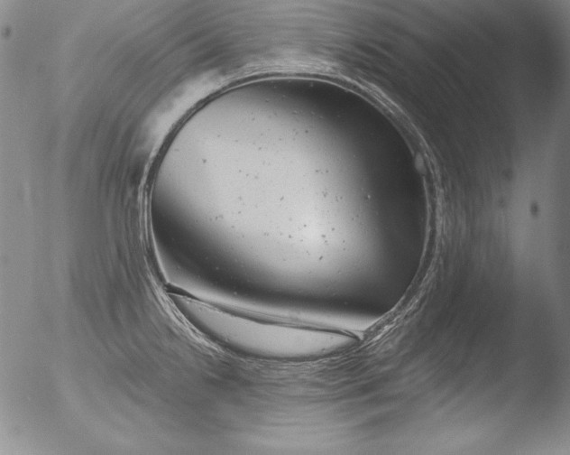 X0000051861238200507081814