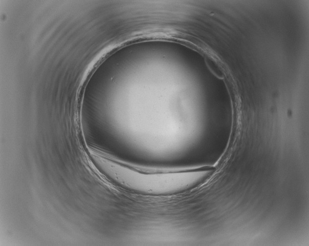 X0000051861240200507081814