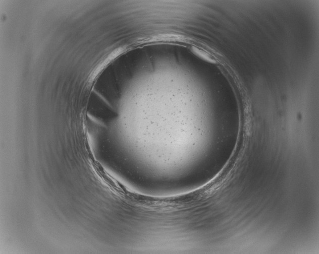 X0000051861241200507081814