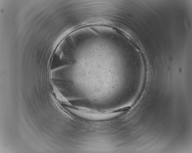 X0000051861242200507081814