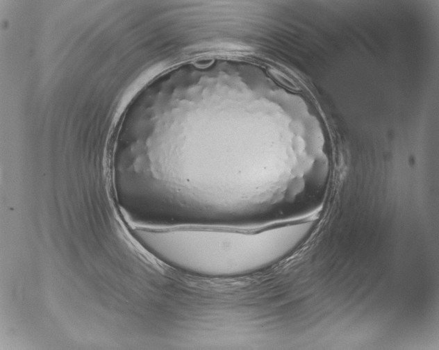 X0000051861243200507081814