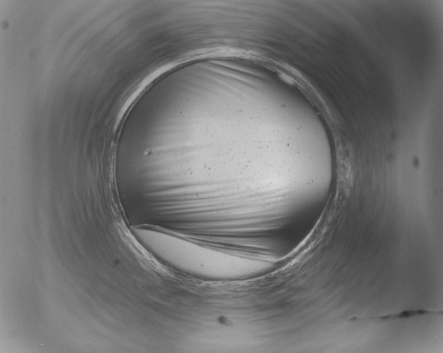 X0000051861244200507081814