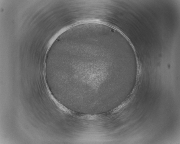 X0000051861245200507081814