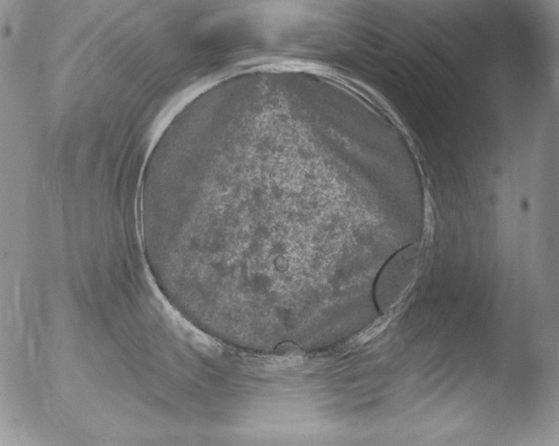 X0000051861247200507081814