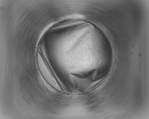 X0000051861248200507081814