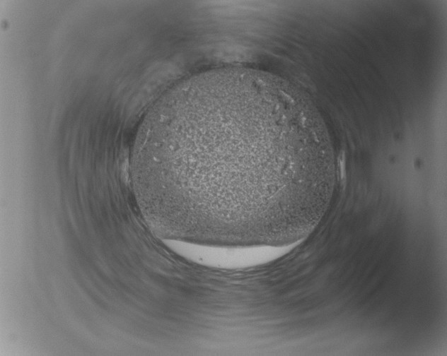 X0000051861251200507081814