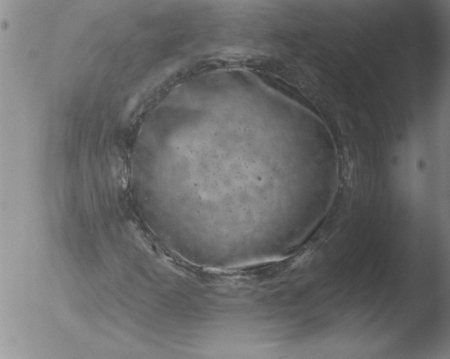 X0000051861253200507081814