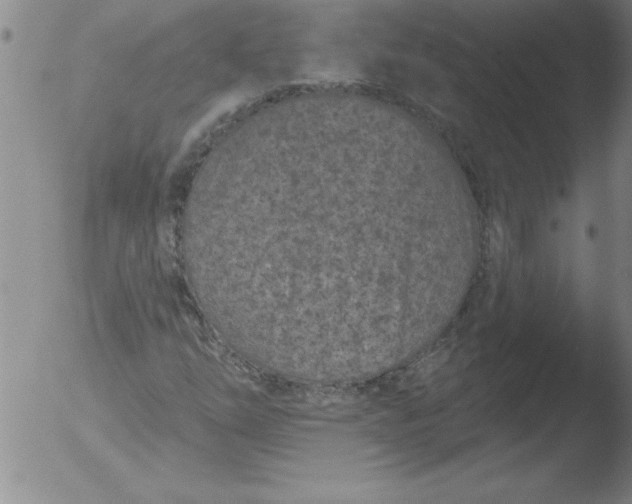 X0000051861254200507081814