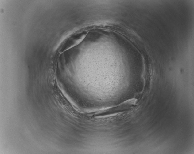 X0000051861256200507081814