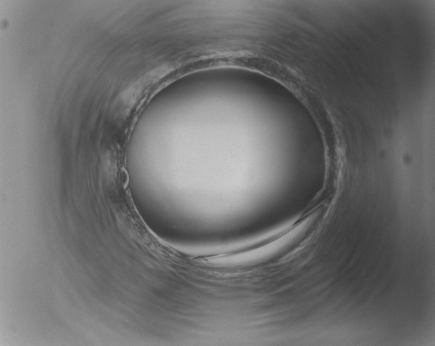 X0000051861257200507081813