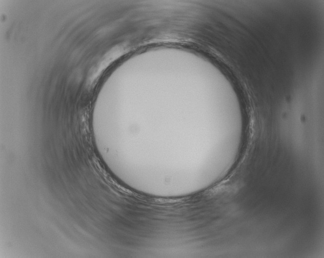 X0000051861258200507081813