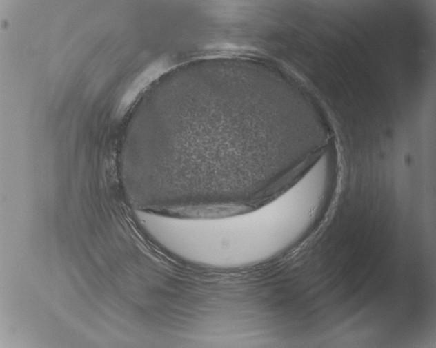 X0000051861259200507081813