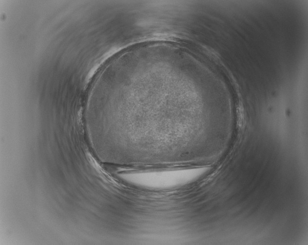 X0000051861260200507081813