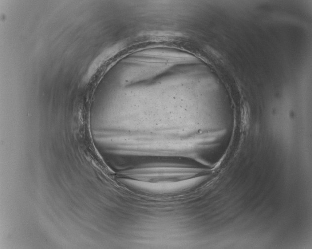 X0000051861261200507081813