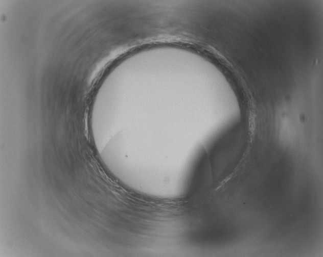 X0000051861262200507081813