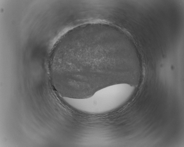 X0000051861263200507081813