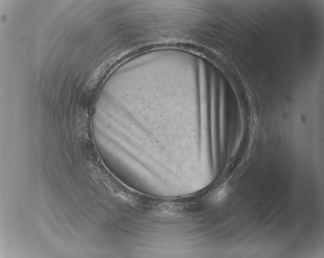 X0000051861265200507081813