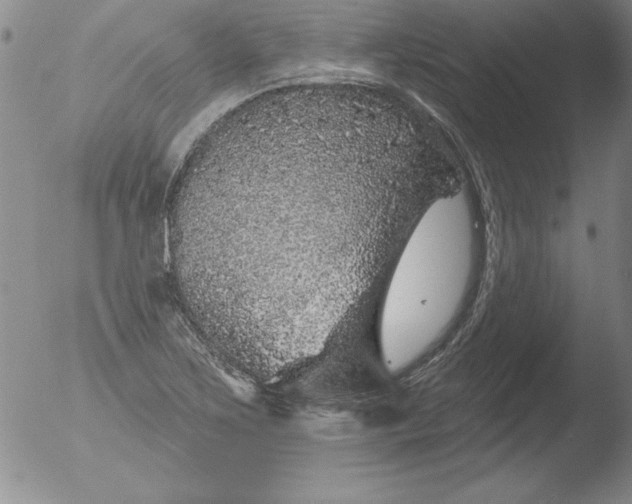 X0000051861267200507081813