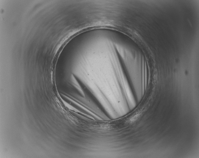 X0000051861268200507081813