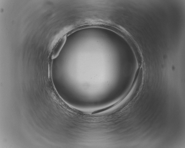 X0000051861269200507081813