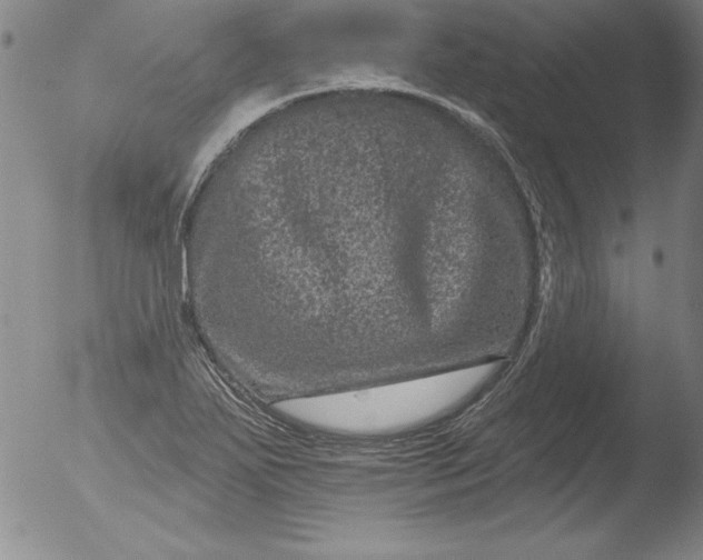 X0000051861271200507081813