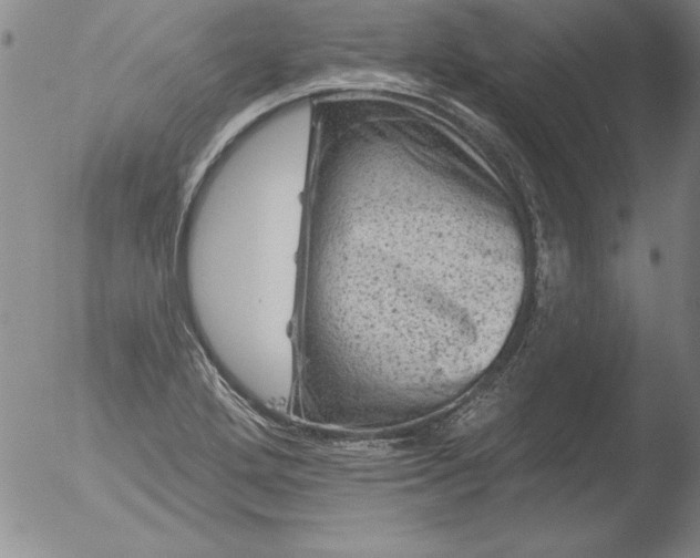 X0000051861272200507081813