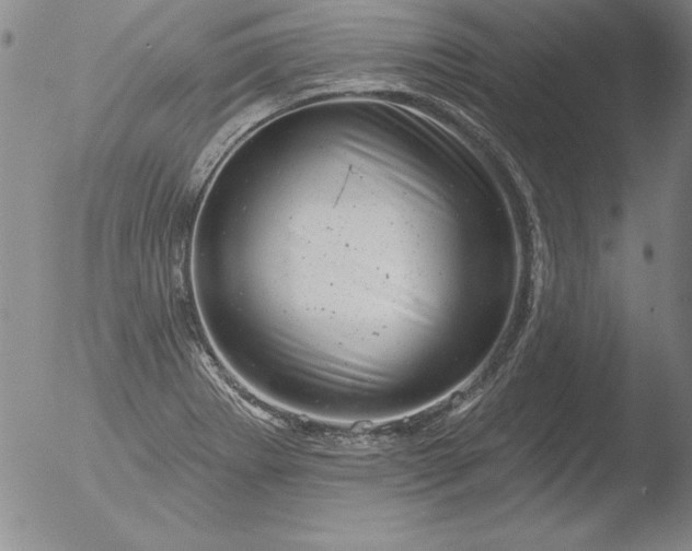 X0000051861273200507081813