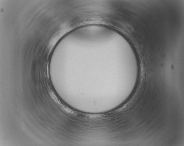 X0000051861274200507081813